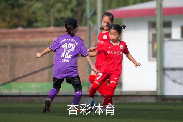 杏彩体育公司简介